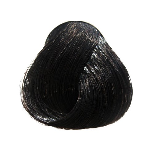 Directions Hair Colour Ebony