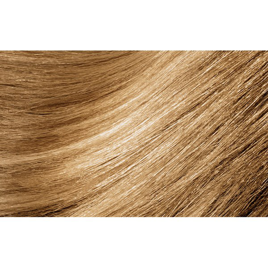 Montibello Dénuée OTC 9.3 Very Light Golden Blonde